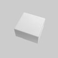 Raceway Endcap for 5050 Raceway (White)